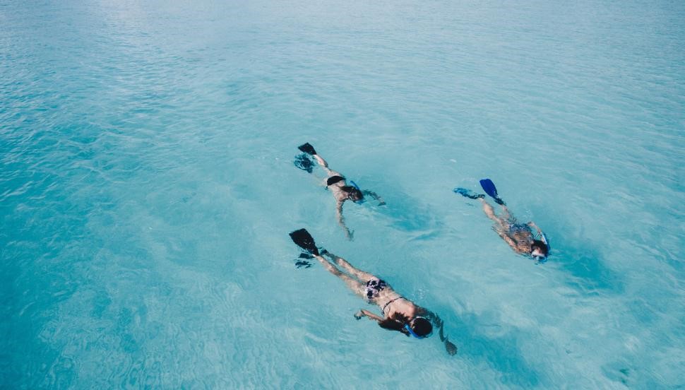 Group of People Swimming in Body of Water