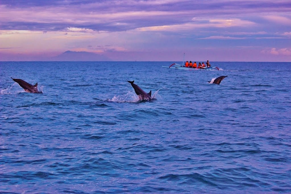 bali-Lovina Beach