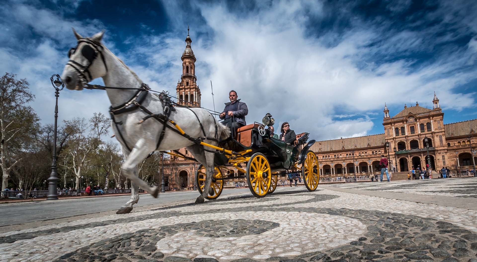 sevilla-horse-Carriages -spain